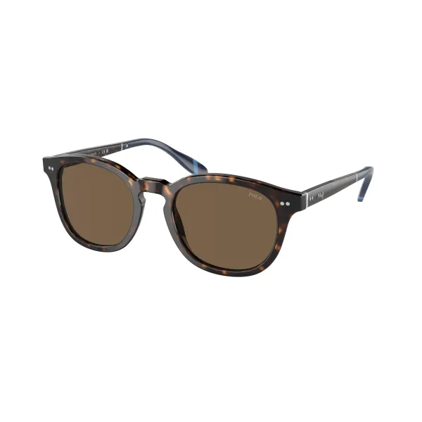 Polo Ralph Lauren PH4206 500373 Shiny Dark Havana – Ανδρικά Γυαλιά Ηλίου με Καφέ Φακούς (52-20-145)