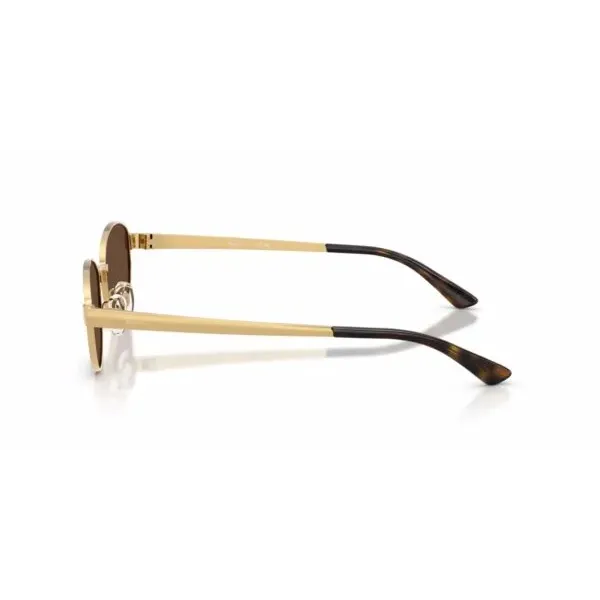 Ray-Ban RB3774D 001/73 Arista Gold – Οβάλ Γυαλιά Ηλίου με Σκούρους Καφέ Φακούς (55-19-145)