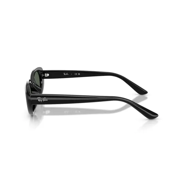 Ray-Ban RB4441D 667771 Black- Γυαλιά Ηλίου με Πράσινους Φακούς