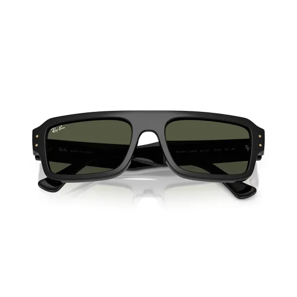 Ray-Ban Flacko RB4454 667731 Black Dark Green Γυαλιά Ηλίου