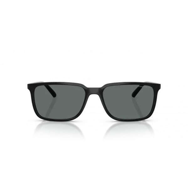Arnette Dinsky AN4364 290081 Recycled Black Polarized Γυαλιά Ηλίου 57-17-145