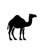 Camello