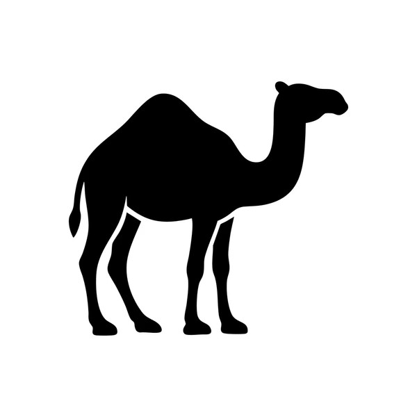 Camello